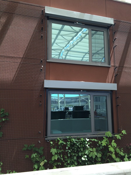 Loyola college - Chicago 14