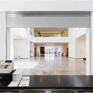 AlarmGard® Conceal Counter Fire Door Operator