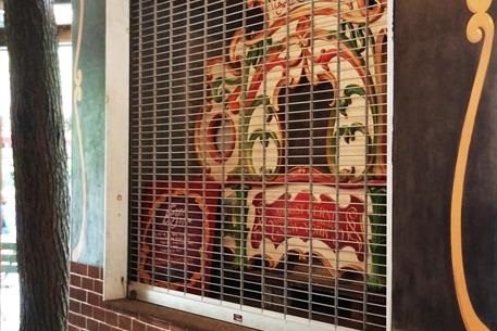 Rolling Security Grille Protecting an Organ