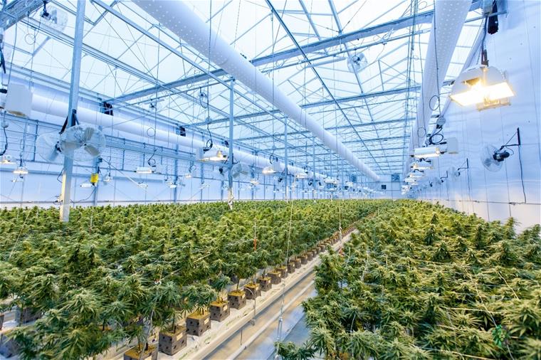 Cannabis Industry Page 1 Cannabis Industry Page 1