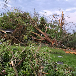 Tornado damge to trees over strom door
