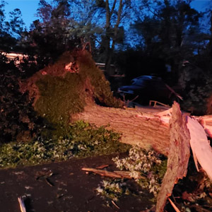 Tornado damge tree fall - safe room door test