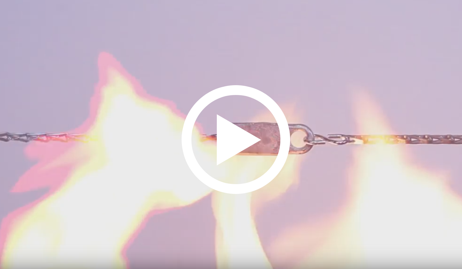 Cornell Video Gallery